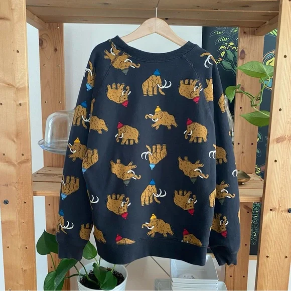 Hanna Andersson Colorful Winter Woolly Mammoth Crewneck Sweatshirt - Picture 3 of 12